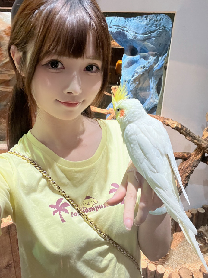 东京物语 封面